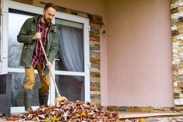 Best Electronics Removal Services  in Tooele, UT